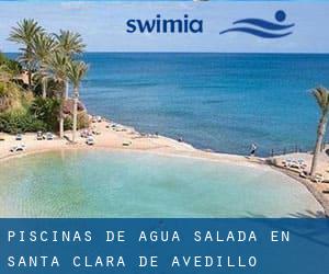 Piscinas de agua salada en Santa Clara de Avedillo