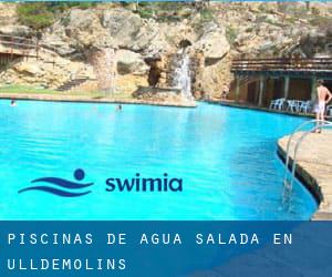 Piscinas de agua salada en Ulldemolins