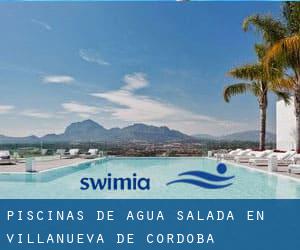 Piscinas de agua salada en Villanueva de Córdoba