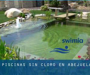 Piscinas sin cloro en Abejuela