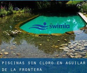 Piscinas sin cloro en Aguilar de la Frontera