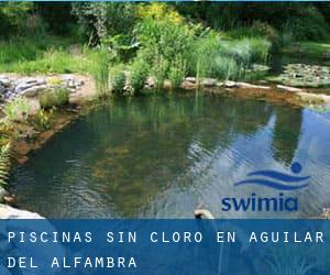 Piscinas sin cloro en Aguilar del Alfambra