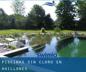 Piscinas sin cloro en Ahillones