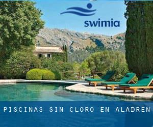 Piscinas sin cloro en Aladrén