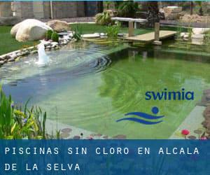 Piscinas sin cloro en Alcalá de la Selva