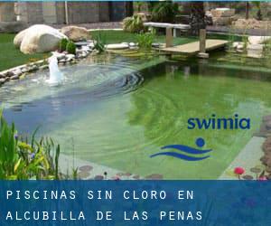 Piscinas sin cloro en Alcubilla de las Peñas