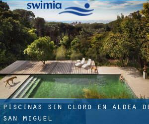 Piscinas sin cloro en Aldea de San Miguel