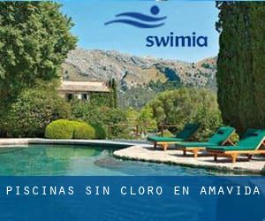 Piscinas sin cloro en Amavida