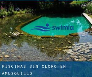 Piscinas sin cloro en Amusquillo