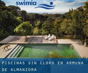 Piscinas sin cloro en Armuña de Almanzora