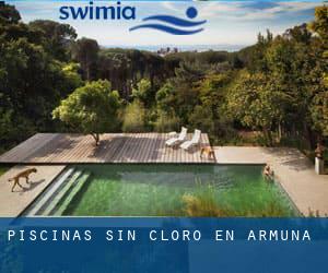 Piscinas sin cloro en Armuña