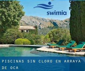 Piscinas sin cloro en Arraya de Oca