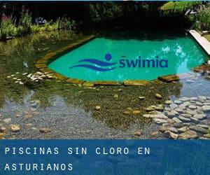 Piscinas sin cloro en Asturianos