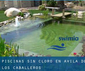 Piscinas sin cloro en Ávila de los Caballeros