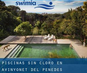 Piscinas sin cloro en Avinyonet del Penedès