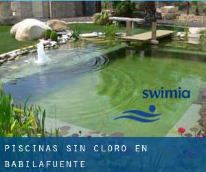 Piscinas sin cloro en Babilafuente