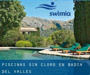 Piscinas sin cloro en Badia del Vallès