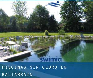 Piscinas sin cloro en Baliarrain