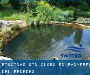 Piscinas sin cloro en Banyeres del Penedès