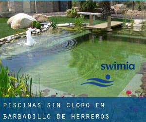 Piscinas sin cloro en Barbadillo de Herreros