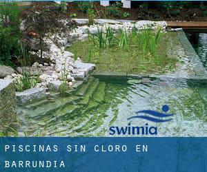 Piscinas sin cloro en Barrundia