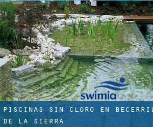 Piscinas sin cloro en Becerril de la Sierra