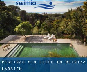 Piscinas sin cloro en Beintza-Labaien