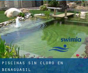 Piscinas sin cloro en Benaguasil