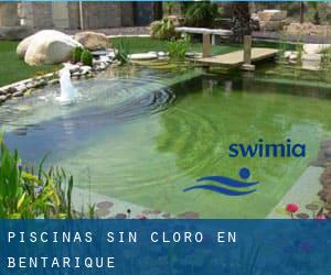 Piscinas sin cloro en Bentarique