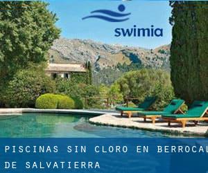 Piscinas sin cloro en Berrocal de Salvatierra