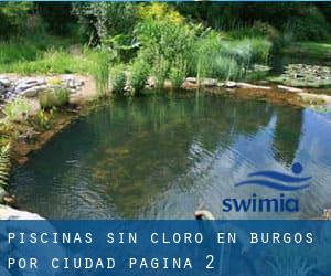 Piscinas sin cloro en Burgos por Ciudad - página 2