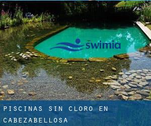 Piscinas sin cloro en Cabezabellosa