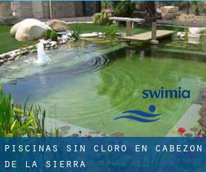 Piscinas sin cloro en Cabezón de la Sierra