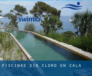 Piscinas sin cloro en Cala