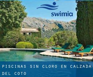 Piscinas sin cloro en Calzada del Coto