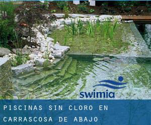 Piscinas sin cloro en Carrascosa de Abajo