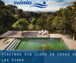 Piscinas sin cloro en Casas de los Pinos