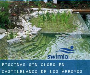 Piscinas sin cloro en Castilblanco de los Arroyos