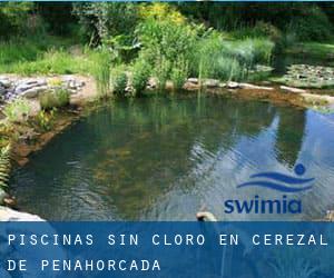 Piscinas sin cloro en Cerezal de Peñahorcada