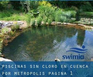 Piscinas sin cloro en Cuenca por Metropolis - página 1