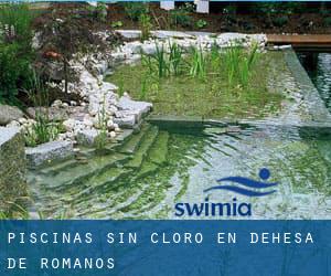 Piscinas sin cloro en Dehesa de Romanos