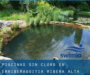 Piscinas sin cloro en Erriberagoitia / Ribera Alta