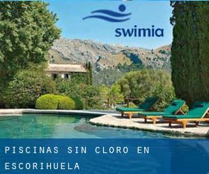 Piscinas sin cloro en Escorihuela