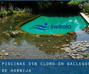 Piscinas sin cloro en Gallegos de Hornija