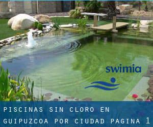 Piscinas sin cloro en Guipúzcoa por Ciudad - página 1