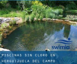 Piscinas sin cloro en Herguijuela del Campo