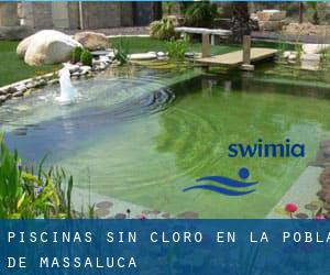 Piscinas sin cloro en la Pobla de Massaluca