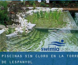 Piscinas sin cloro en la Torre de l'Espanyol