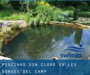 Piscinas sin cloro en les Borges del Camp