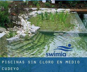 Piscinas sin cloro en Medio Cudeyo